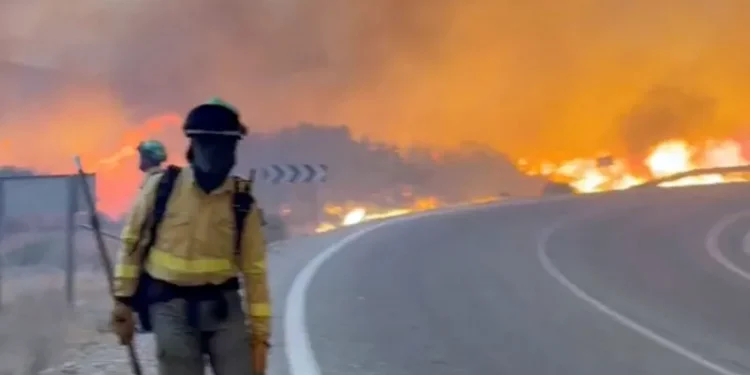Spain wildfire 11 dead