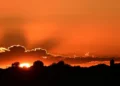 UK heatwave deaths
