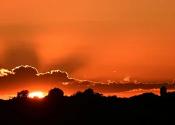 UK heatwave deaths