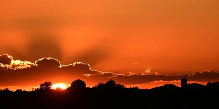UK heatwave deaths