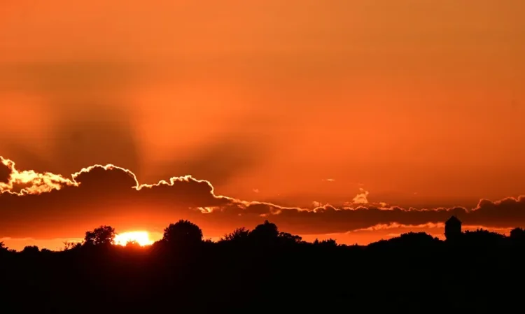 UK heatwave deaths