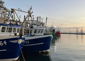 UK marine heatwave