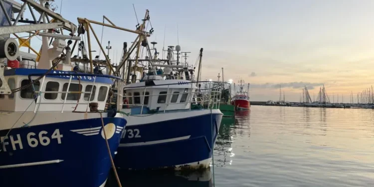 UK marine heatwave