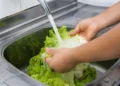 US parasite outbreak explosive diarrhoea