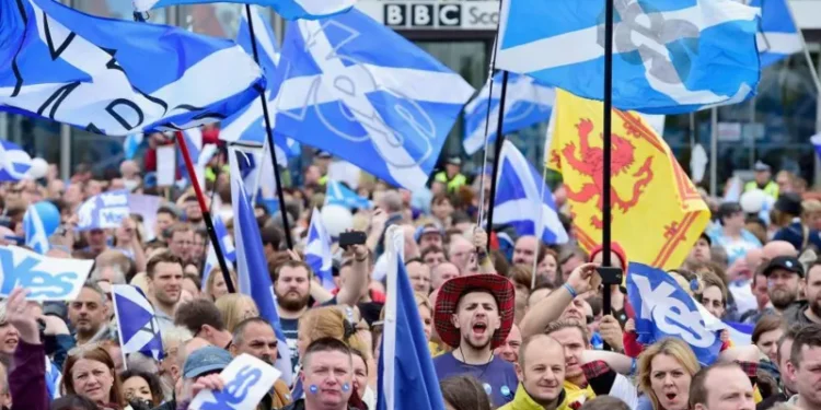 Yes Scotland missing £1.5 million investigation