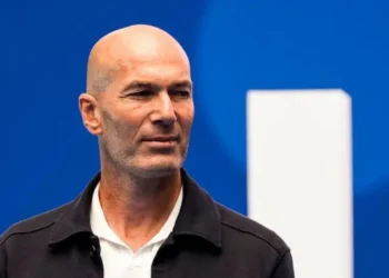 Zidane France head coach appointment