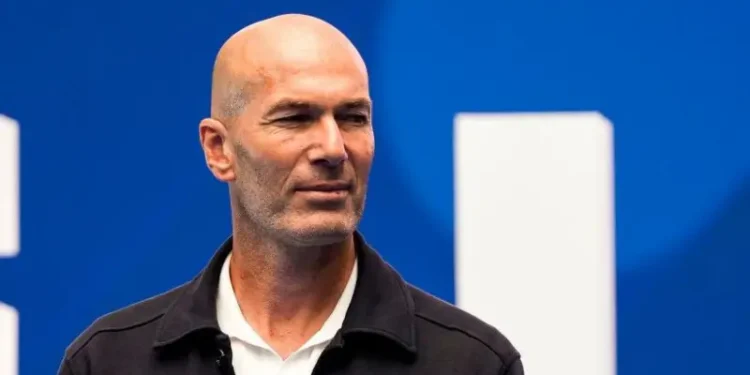 Zidane France head coach appointment