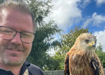 birds of prey heatwave UK