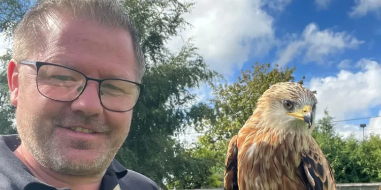birds of prey heatwave UK