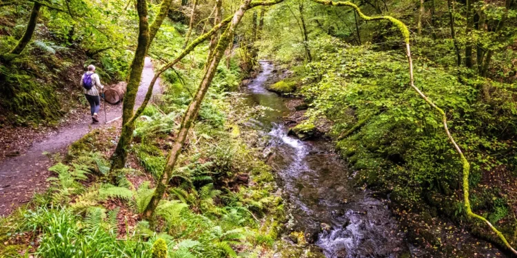 Three-Quarters of England’s Riverbanks Still Off Limits
