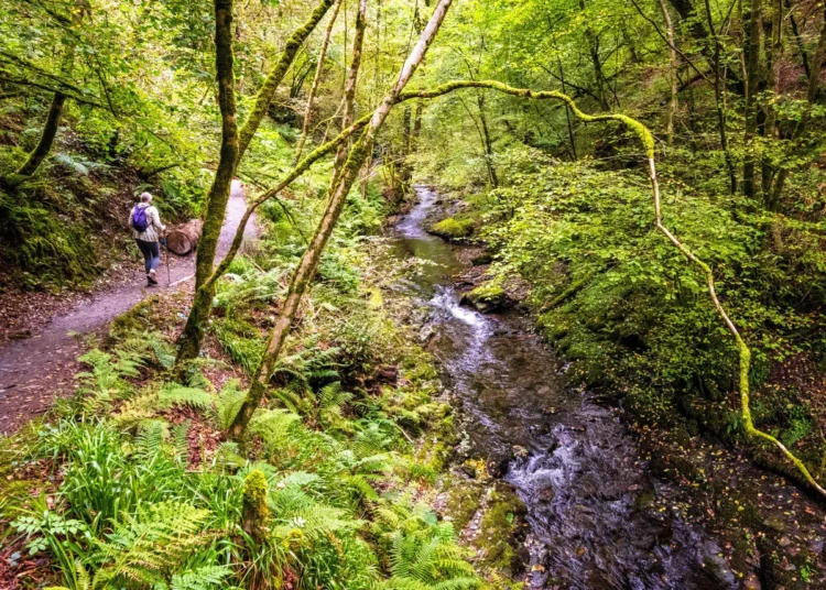 Three-Quarters of England’s Riverbanks Still Off Limits
