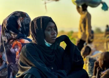 RSF crimes against humanity El-Fasher