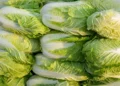 formaldehyde used on cabbages in China