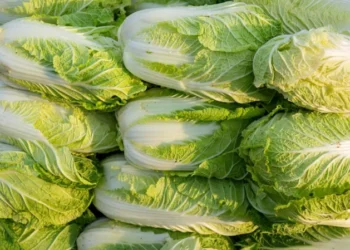 formaldehyde used on cabbages in China