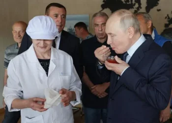 Putin Kuril Islands visit