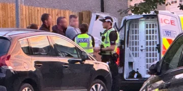 Steven Daniel arrested
