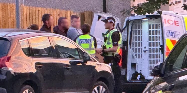 Steven Daniel arrested