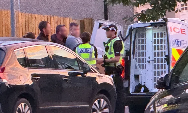 Steven Daniel arrested