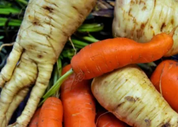 UK heatwave vegetables