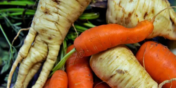 UK heatwave vegetables