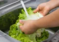 US explosive diarrhoea outbreak deaths