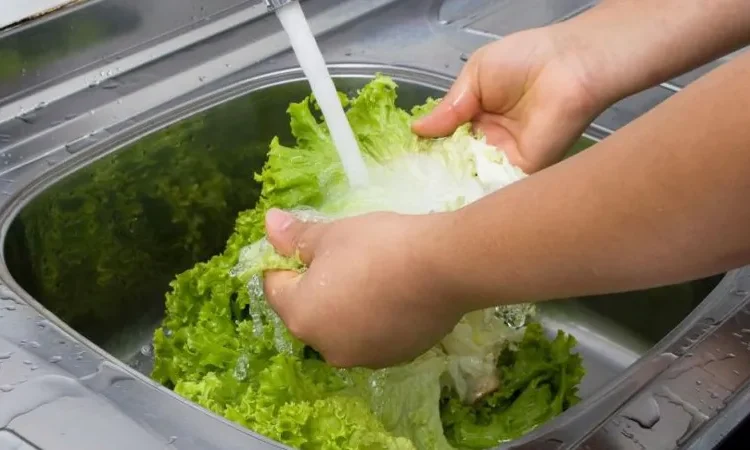 US explosive diarrhoea outbreak deaths