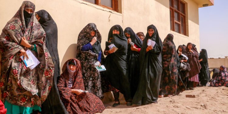 Five Years of Taliban Rule Leave Afghanistan in Crisis