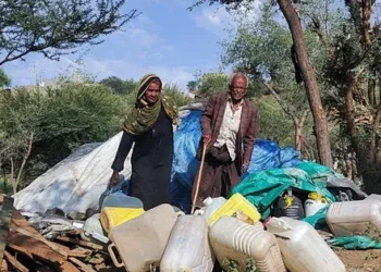 Yemen War Displaces 125,000 as Fighting Intensifies