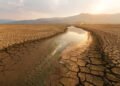2025 Among World’s Driest Years for Rivers