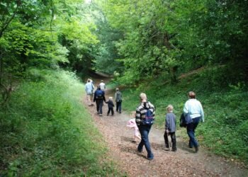 Nature Access Gaps Expose Inequality Across England