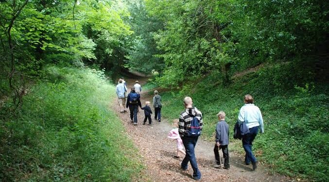 Nature Access Gaps Expose Inequality Across England
