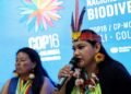 Nature Defenders Face Rising Threats Amid Global Violence
