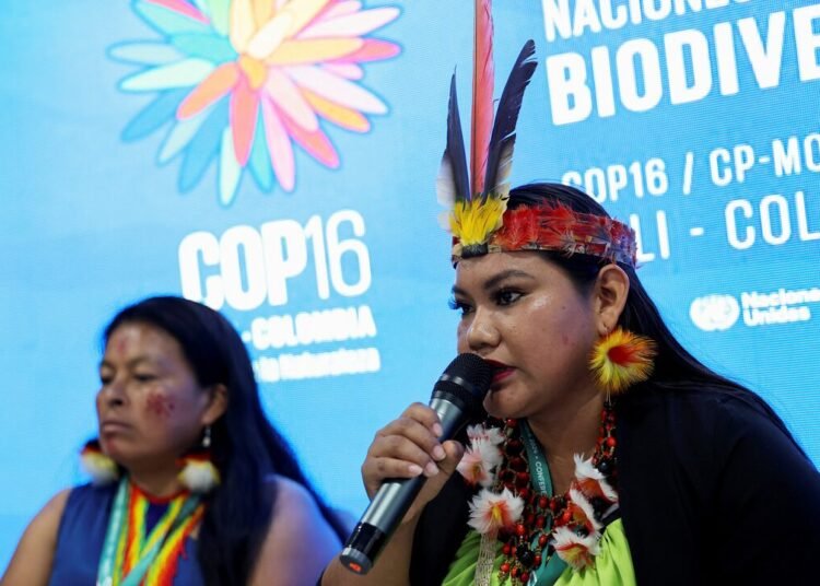 Nature Defenders Face Rising Threats Amid Global Violence