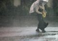 Typhoon Dujuan Leaves Four Dead in Japan
