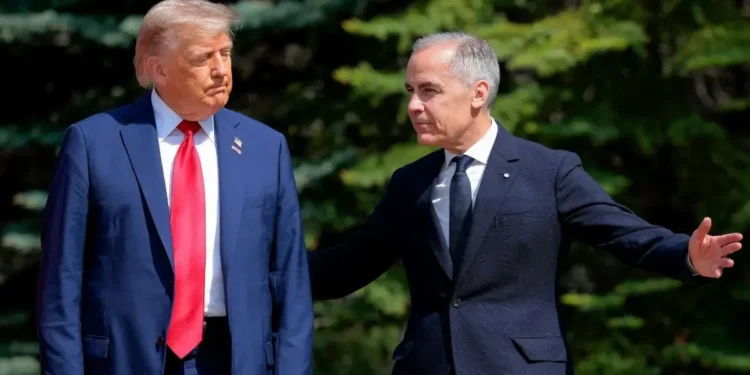 Trump Eyes Major Belarus Fertiliser Deal Amid Canada Trade Dispute