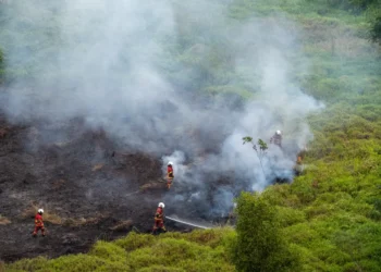 UN Warns Record El Niño Could Supercharge Global Heat