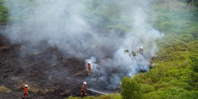 UN Warns Record El Niño Could Supercharge Global Heat