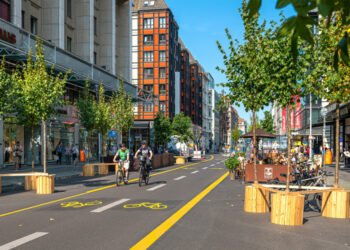 Berlin App Helps Residents Protect City Trees