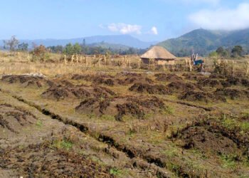 El Niño Drought Pushes Papua New Guinea Into Crisis