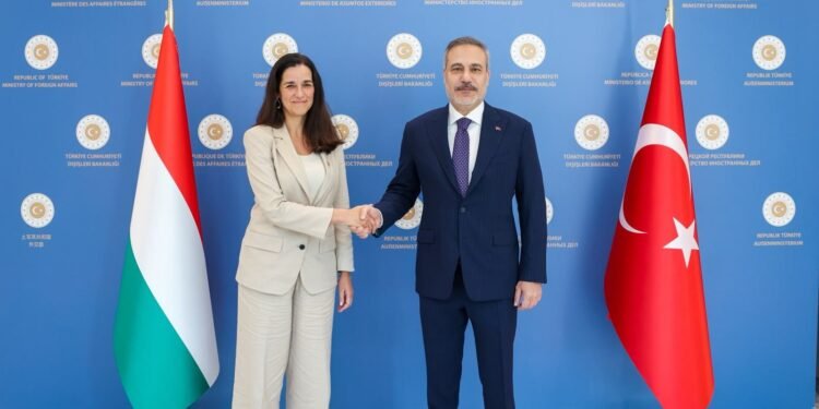 Turkey Rules Out Troops in Saudi Arabia’s Houthi Conflict